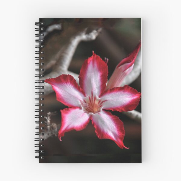 Item preview, Impala Lily Desert Rose Sabi Star South Africa  designed and sold by Schoensl.