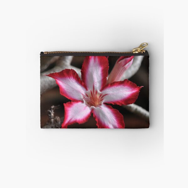 Item preview, Impala Lily Desert Rose Sabi Star South Africa  designed and sold by Schoensl.