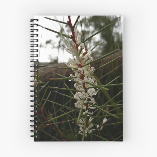 Item preview, Gariwerd Flowers 3 designed and sold by beeden.