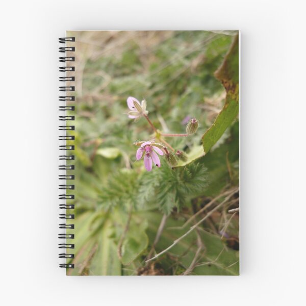 Item preview, Gariwerd Flowers 6 designed and sold by beeden.