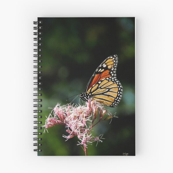 Item preview, The Stop-Over designed and sold by Lois  Bryan.