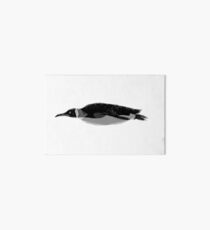 Aquatic Animals - Black King Penguin Art Board