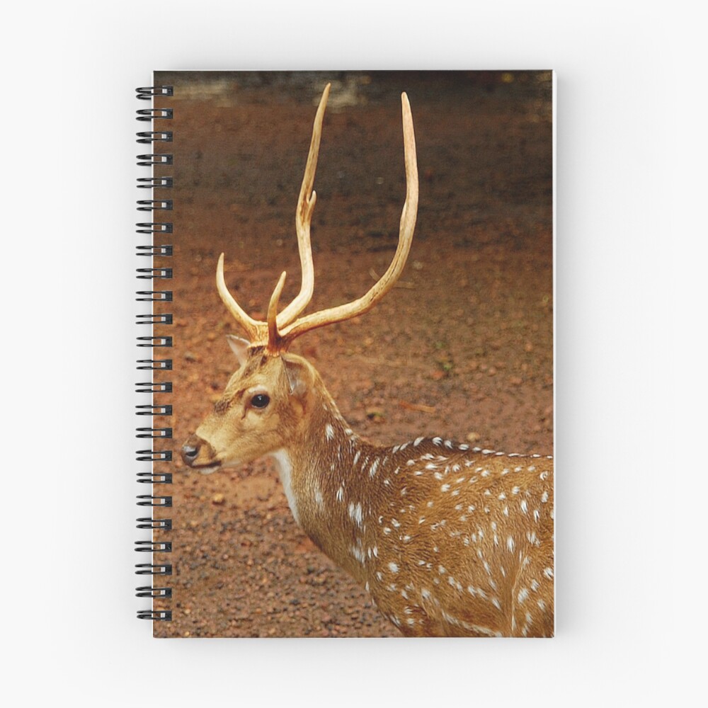 Item preview, Spiral Notebook designed and sold by AroonKalandy.
