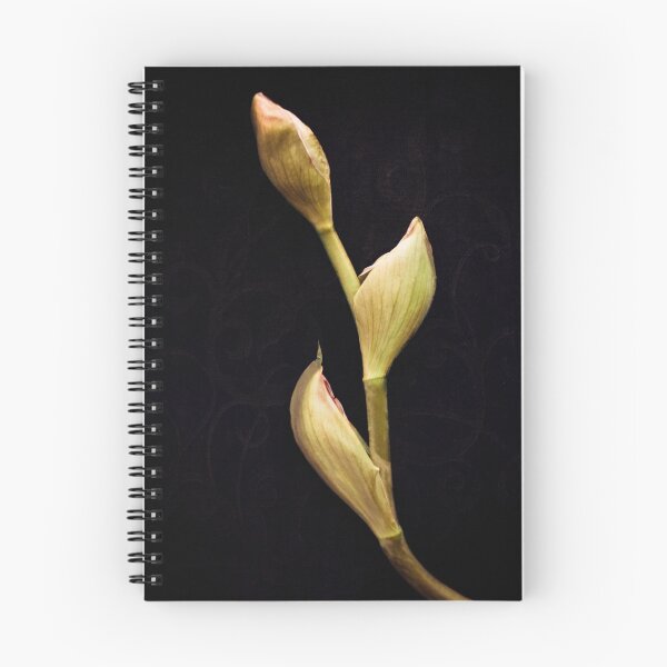Item preview, Iris designed and sold by PhotoEssence.