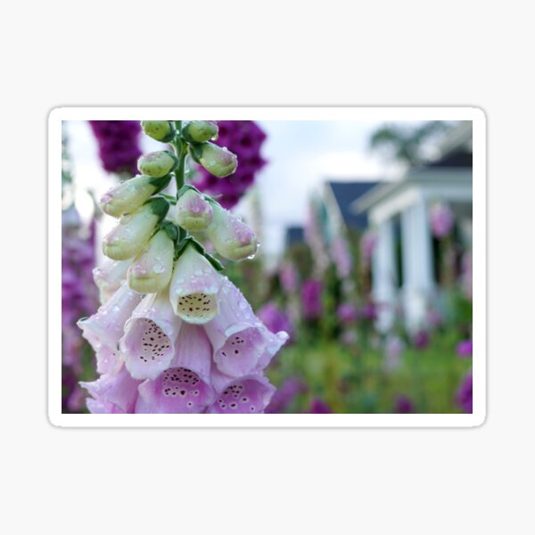June In Anacortes Sticker