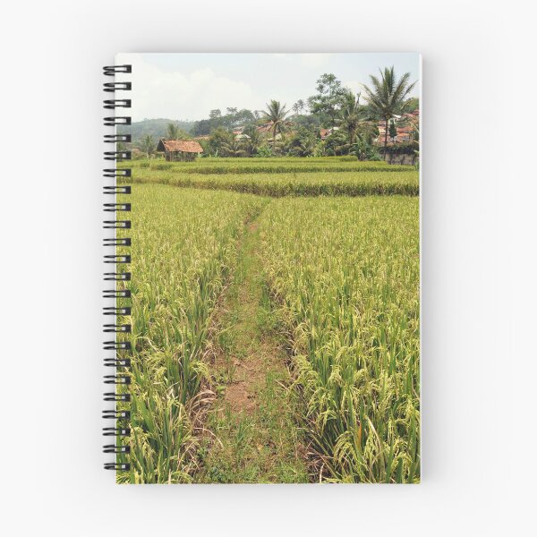 Item preview, Rice Field designed and sold by Charuhas  Images.