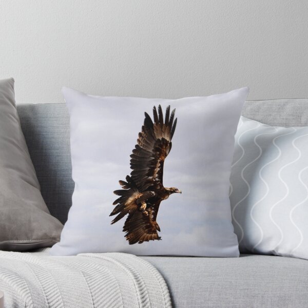 Item preview, wedge-tailed eagle or bunjil (Aquila audax) Australia designed and sold by Schoensl.