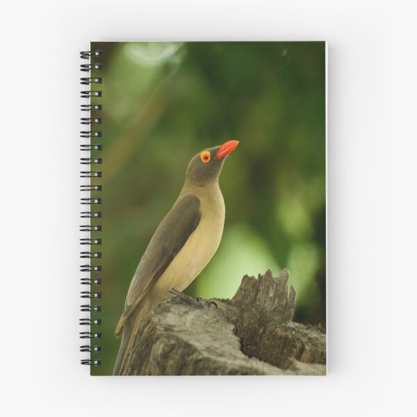Item preview, Bird - Oxpecker designed and sold by Corien.