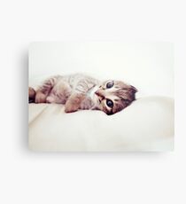 Cuddle Metal Print