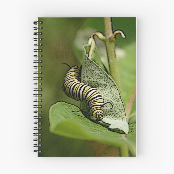 Artikelvorschau, Monarch Caterpillar Special Effects entworfen und verkauft von DigitallyStill.