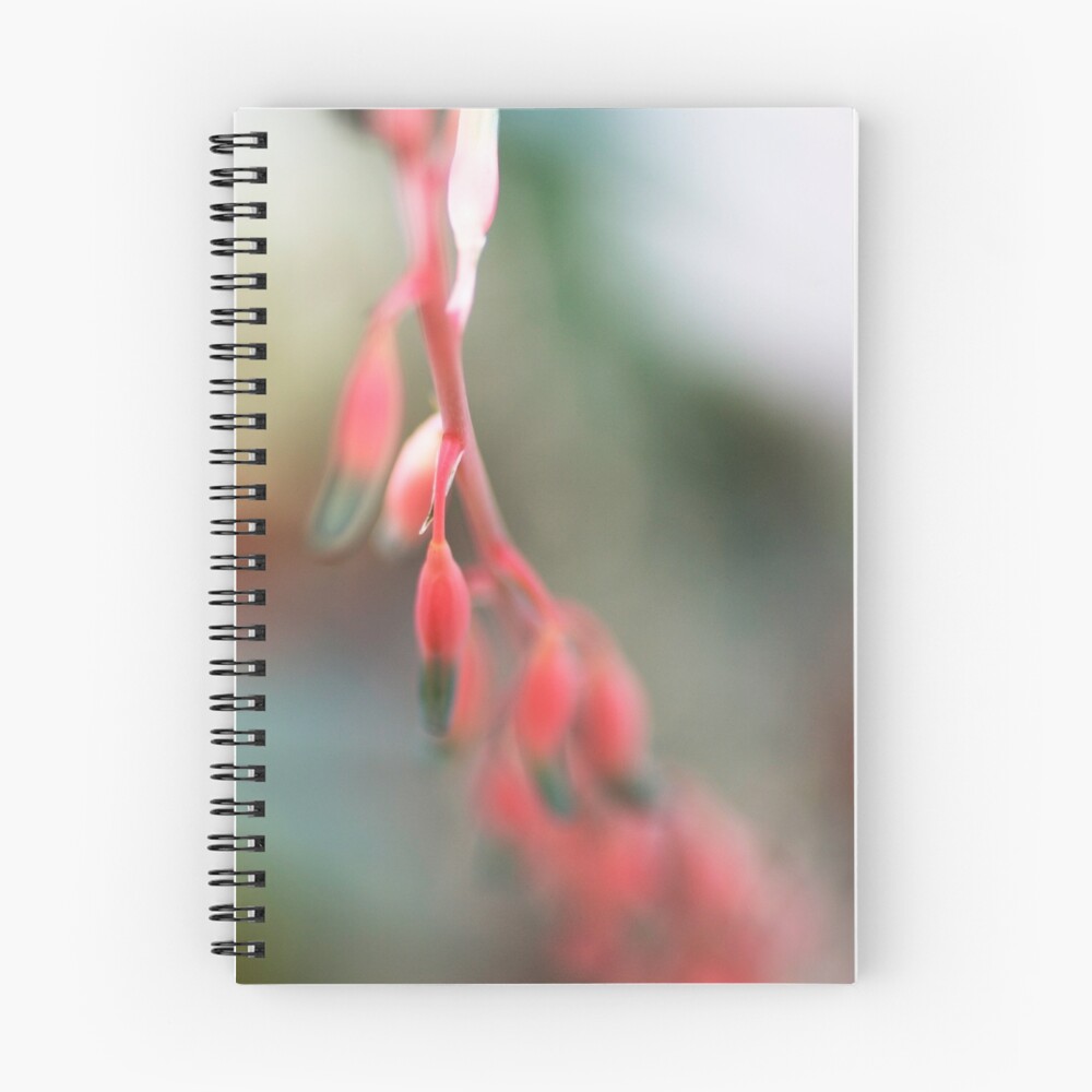 Item preview, Spiral Notebook designed and sold by MSGRIFFIN.