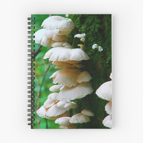 Item preview, MUSHROOMS (UNK) designed and sold by Chuck Wickham.