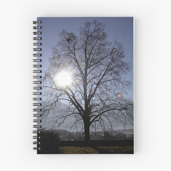 Item preview, Winter sun designed and sold by Hélène David-Cuny.