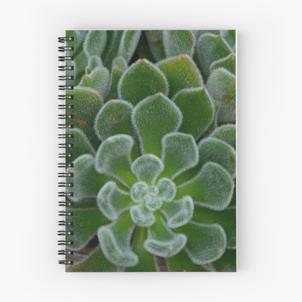 Item preview, Fuzzy cactis designed and sold by Jeffrey  Sinnock.