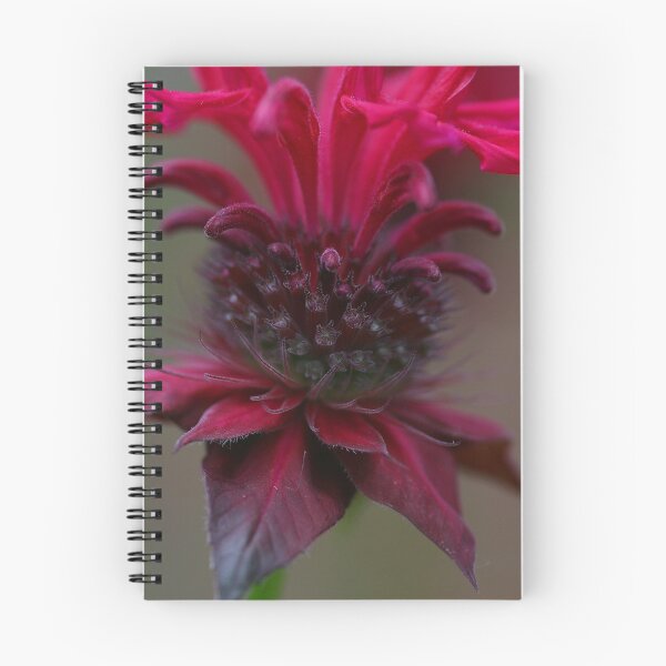 Item preview, Bee Balm designed and sold by janetlee.