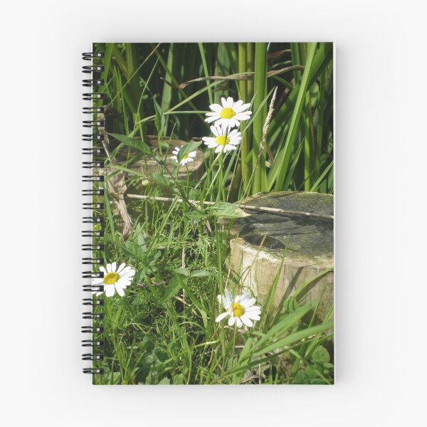 Item preview, Its summer.. designed and sold by Dana Kay.