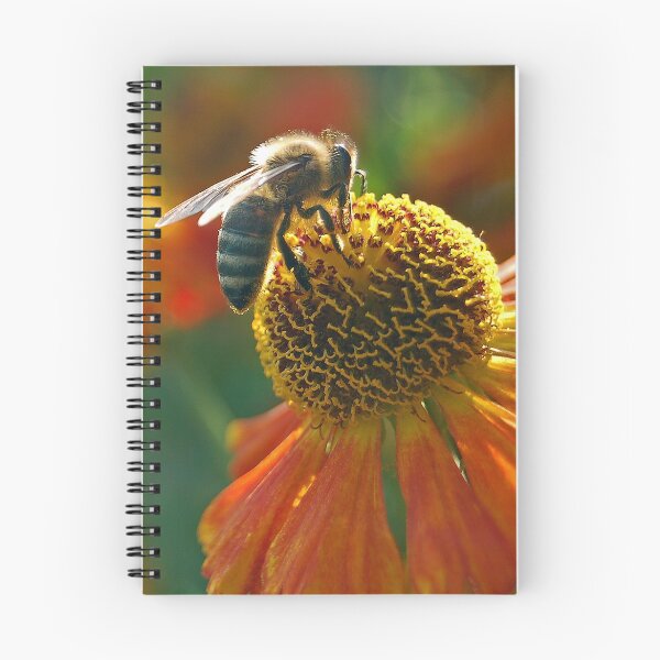 Item preview, Summer buzz designed and sold by Denise Couturier.