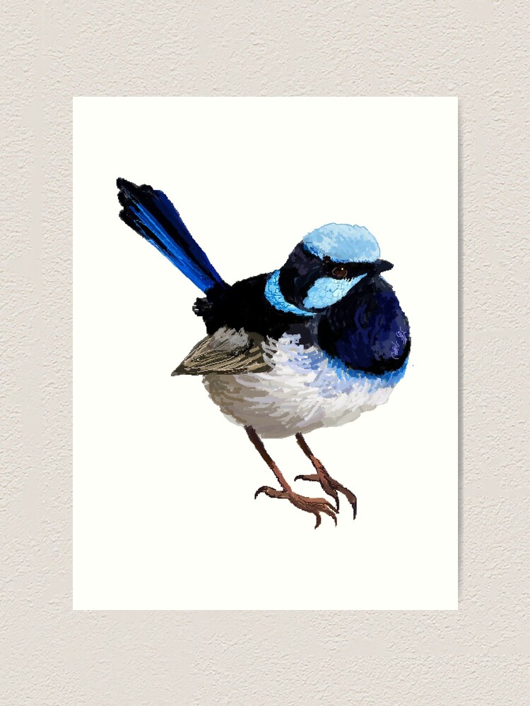 blue wren wall art