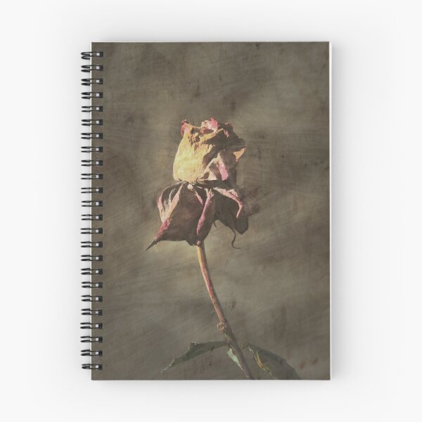 Aperçu de l'œuvre Textured Rose créée et vendue par GailD.