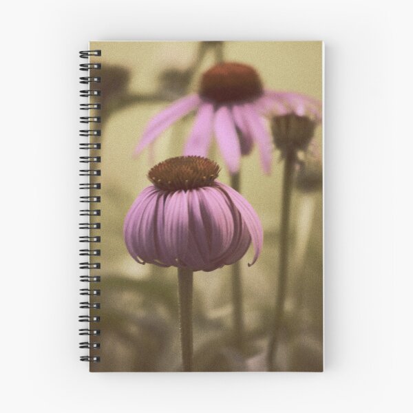 Item preview, Coneflower  designed and sold by janetlee.