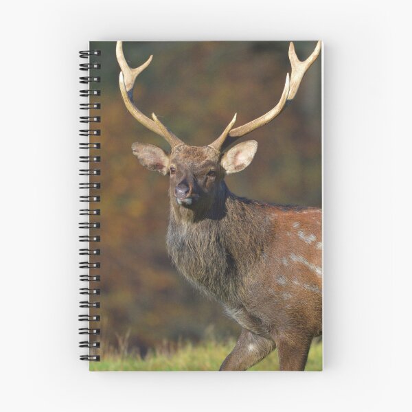 Item preview, Stag designed and sold by dbrDurham.