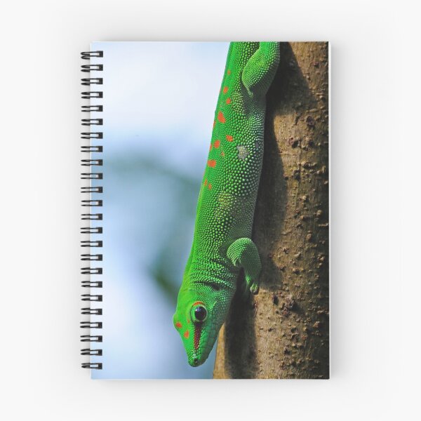 Aperçu de l'œuvre Madagascar Day Gecko créée et vendue par mc27.