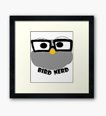Funny Birds Early Bird Dickybird Gift Saying Framed Print