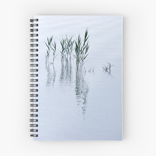 Item preview, Reflective designed and sold by Walter Quirtmair.