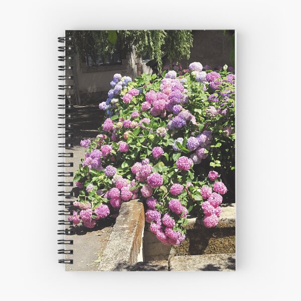 Item preview, Multi coloured hydrangeas designed and sold by triciamary.