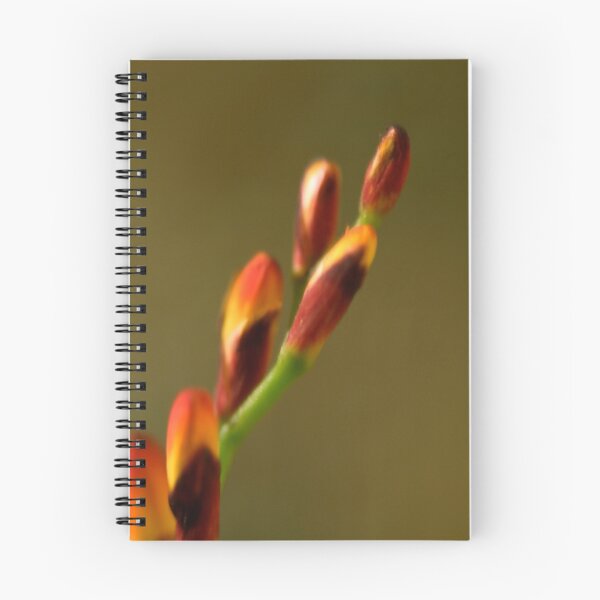 Item preview, buds designed and sold by NEmens.