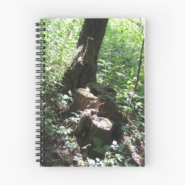Item preview, Nature's Gift designed and sold by Quinn Blackburn.