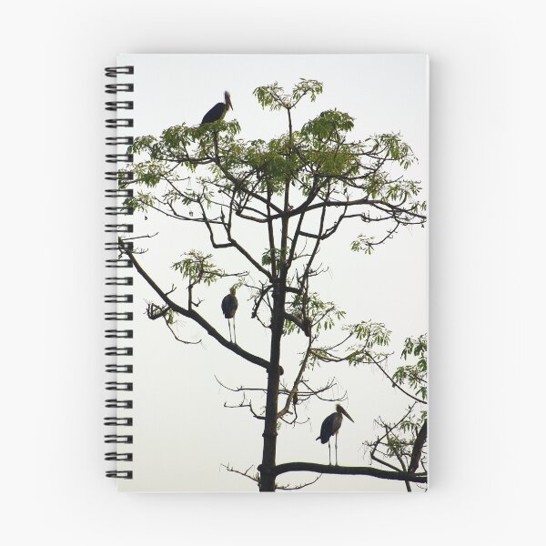 Item preview, Giant Indian Storks designed and sold by Darius4522.