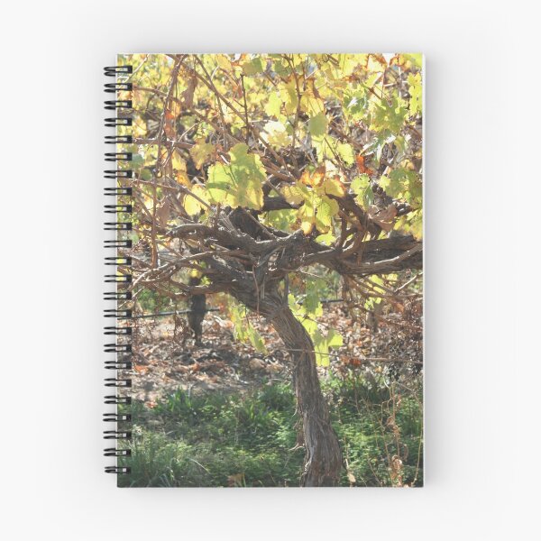 Aperçu de l'œuvre Summer Vine créée et vendue par i4dtail.