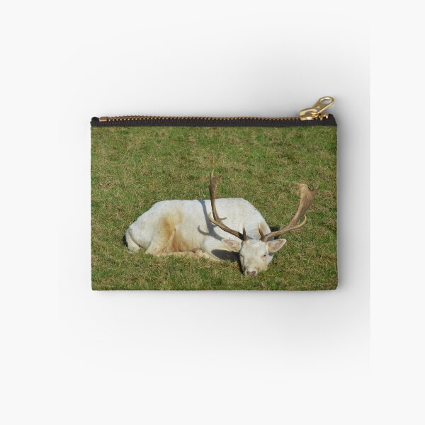 Item preview, Sleeping Beast on Winter's Day   designed and sold by absurdphotos.