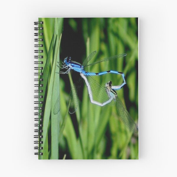 Item preview, Azure Damselflies in Bug Love designed and sold by plunder.