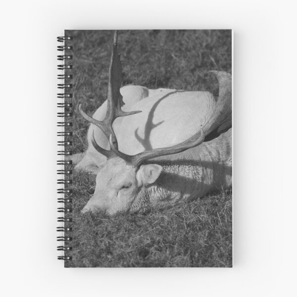 Item preview, Stage hangover in Black and White designed and sold by absurdphotos.