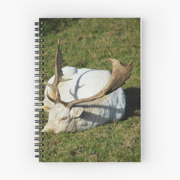 Item preview, The Mightily Beast Rests  designed and sold by absurdphotos.