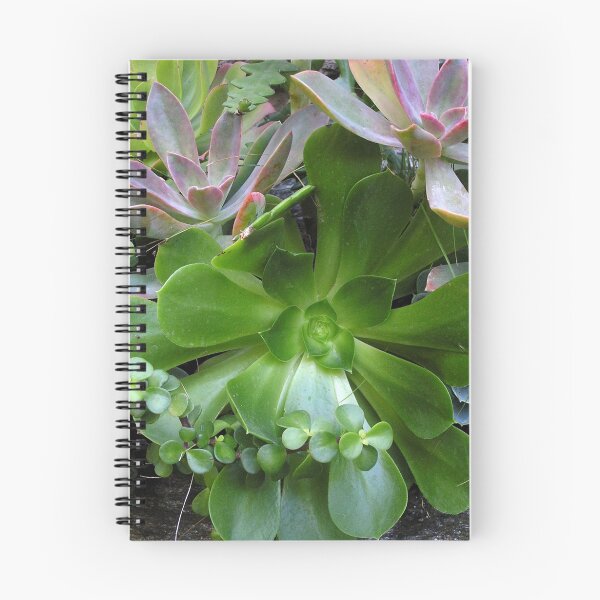 Artikelvorschau, Succulent Smile entworfen und verkauft von Betty Mackey.