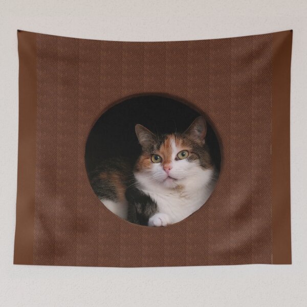Item preview, Cat inside designed and sold by LuciaS.