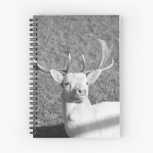 Item preview, The White Stage designed and sold by absurdphotos.