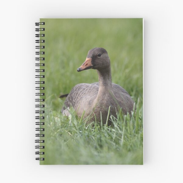 Item preview, Greater White-fronted Goose in Grass designed and sold by SparrowImages.