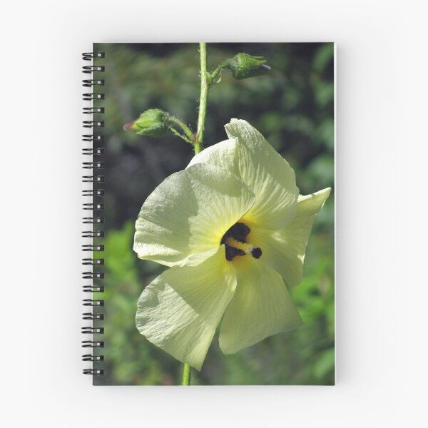 Item preview, Butter Yellow designed and sold by Betty Mackey.