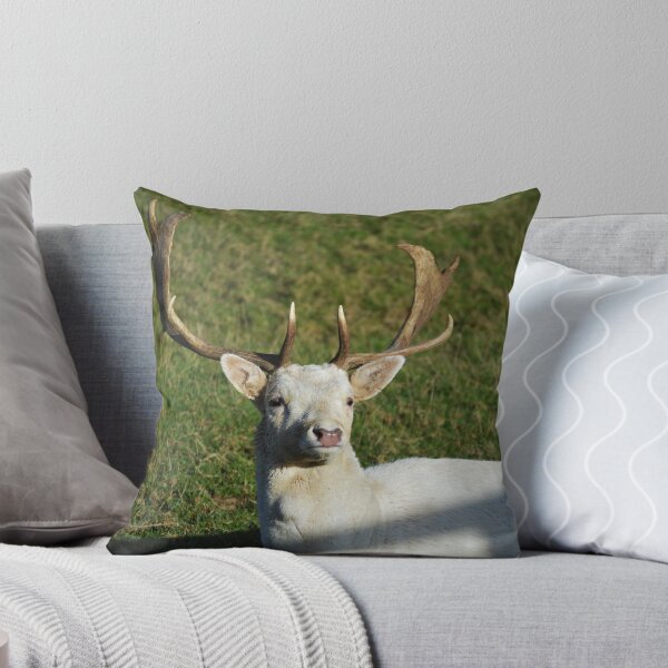 Item preview, Who's The Daddy?  designed and sold by absurdphotos.