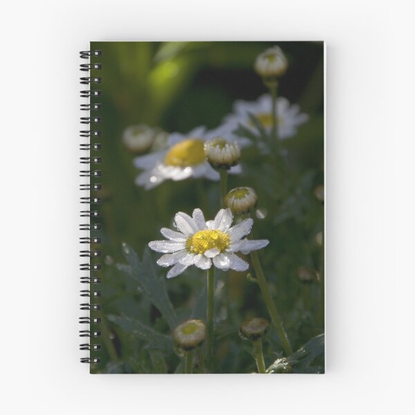 Item preview, Daisy Dell designed and sold by picketty.