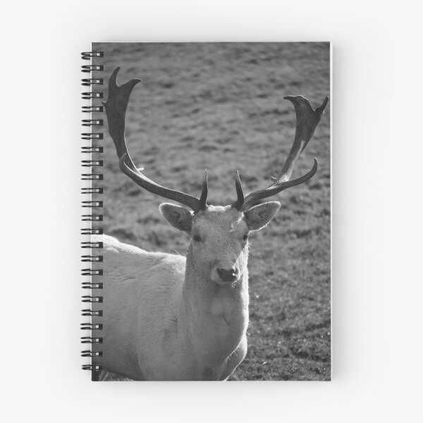 Item preview, Too Deer To Charge designed and sold by absurdphotos.