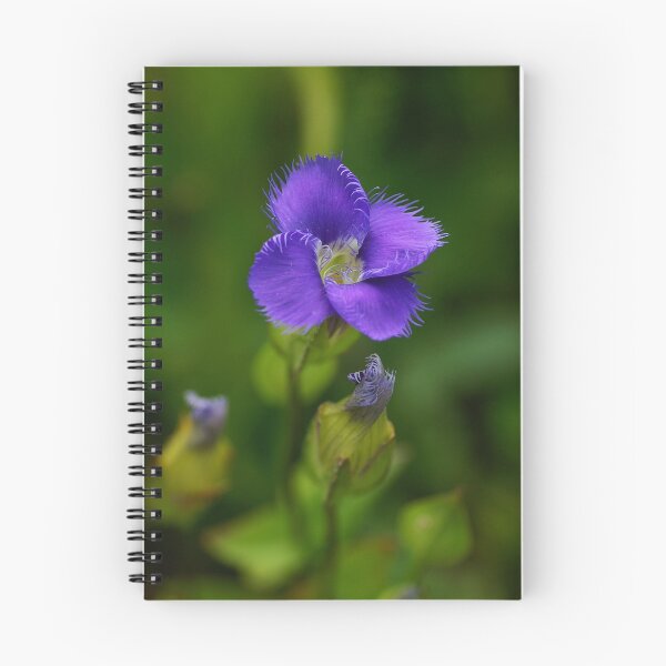 Item preview, Fringed Gentian designed and sold by Bill Morgenstern.