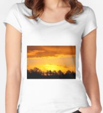 A Flock of Geese in A Golden Sky Women's Fitted Scoop T-Shirt