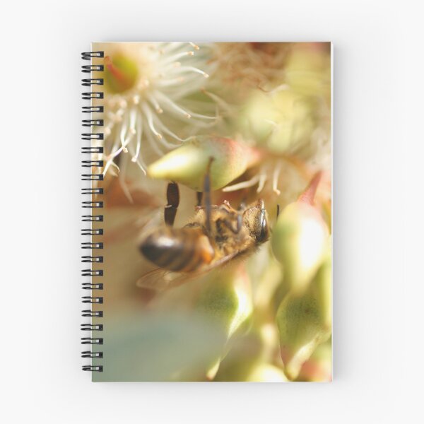 Item preview, Lifes Cycle designed and sold by Joy Watson - Natural Light Photography .