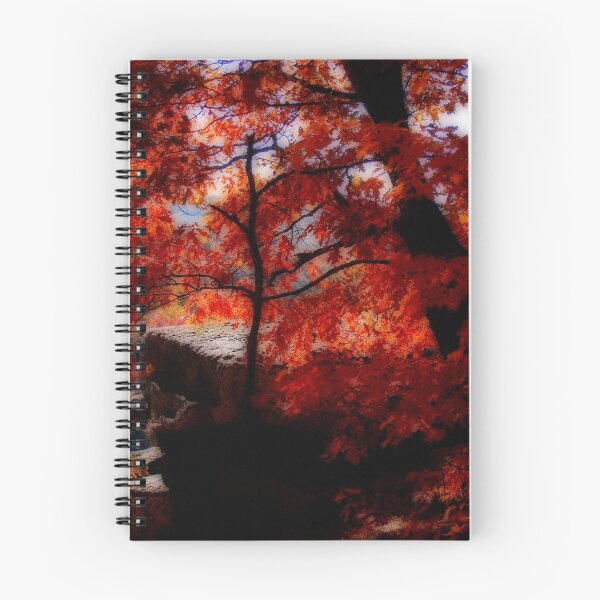Item preview, Autumn Glow designed and sold by NatureGreeting Cards ©ccwri.