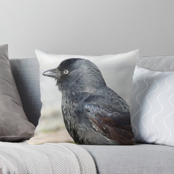 Item preview, Grajo designed and sold by GreyFeatherPhot.